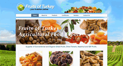Desktop Screenshot of fruitsofturkey.com
